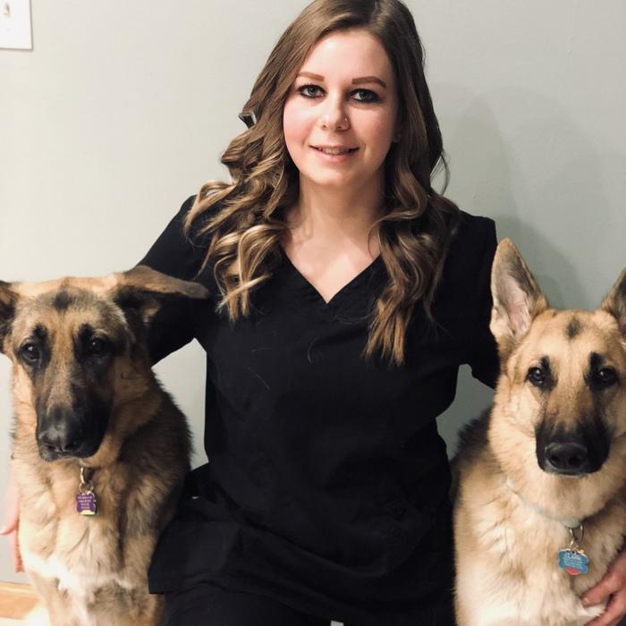 Meet the Team | Andover Animal Hospital